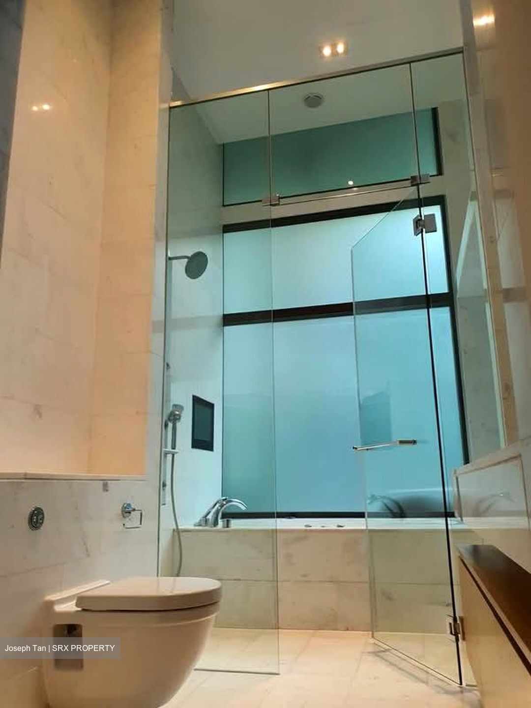 Belle Vue Residences (D9), Condominium #546662861